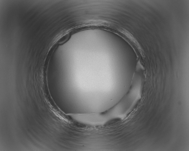 X0000082950834200702222311