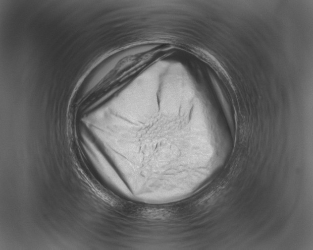 X0000082950835200702222311