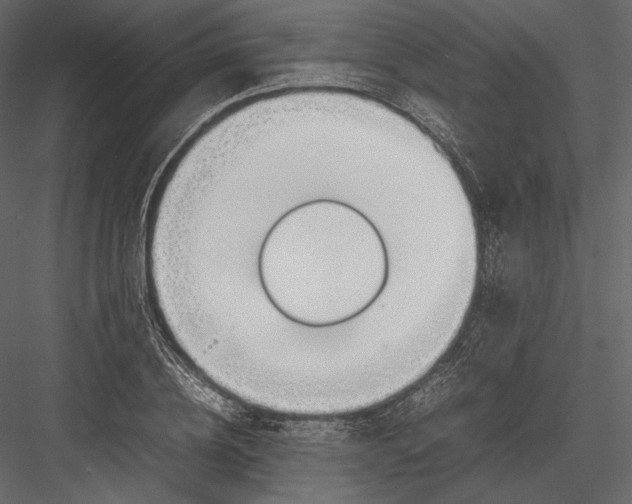 X0000082950836200702222311