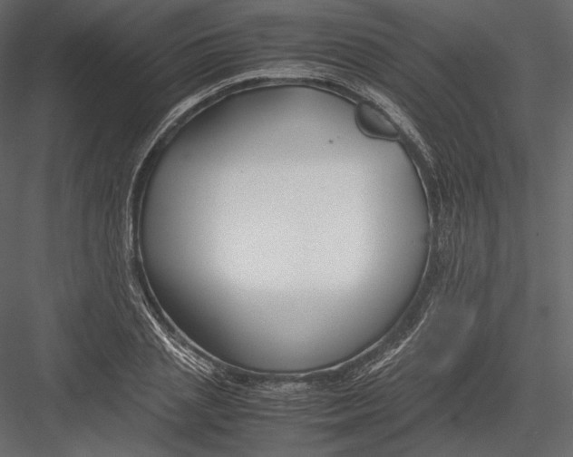 X0000082950837200702222311