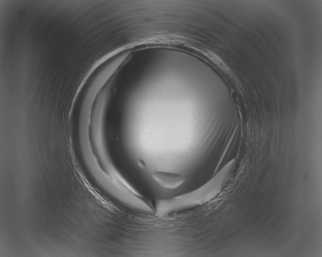 X0000082950838200702222311