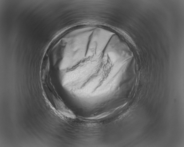 X0000082950839200702222311