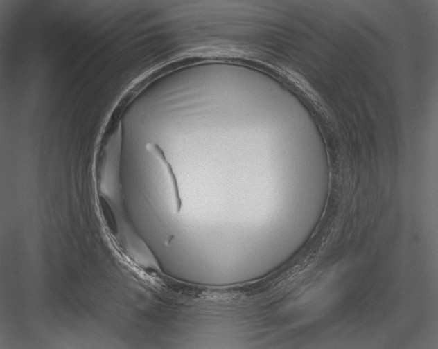 X0000082950840200702222311