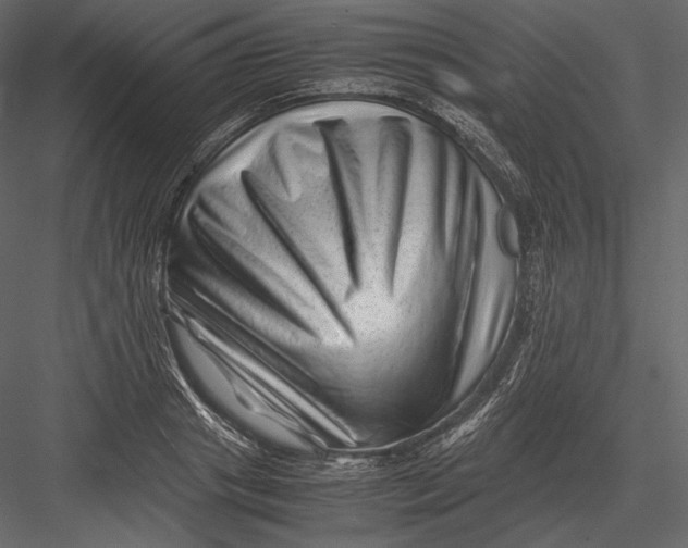 X0000082950841200702222311