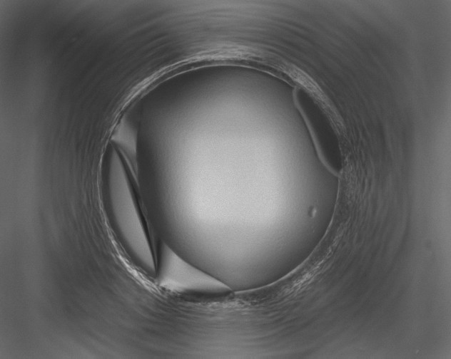 X0000082950842200702222311