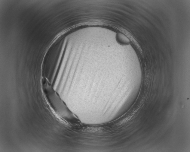 X0000082950845200702222311