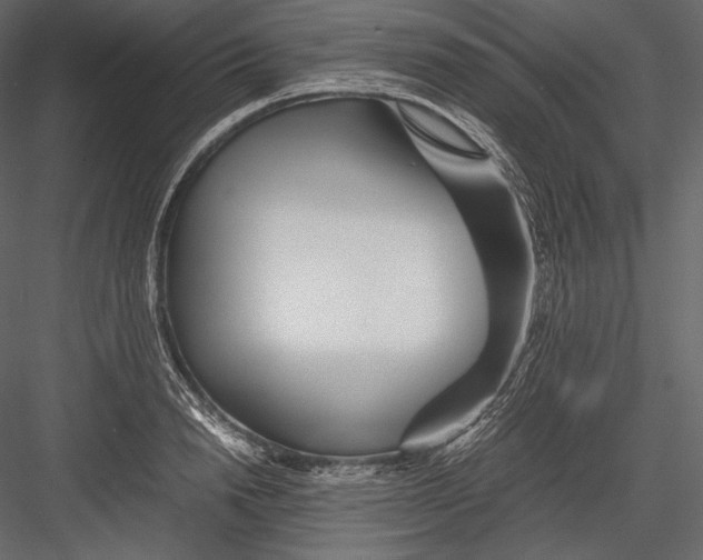 X0000082950846200702222311