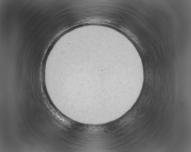 X0000082950848200702222311