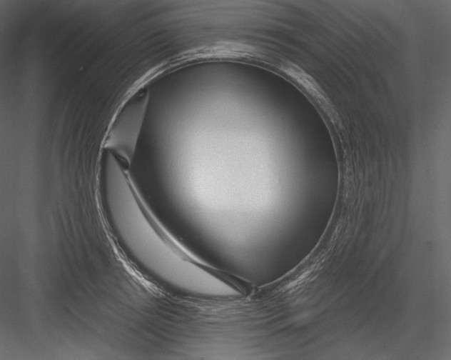 X0000082950850200702222311