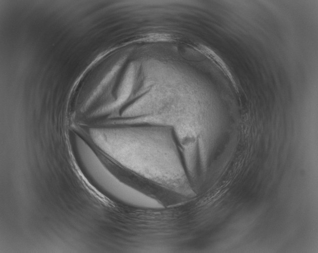 X0000082950851200702222311