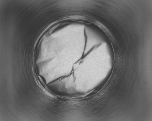 X0000082950852200702222311