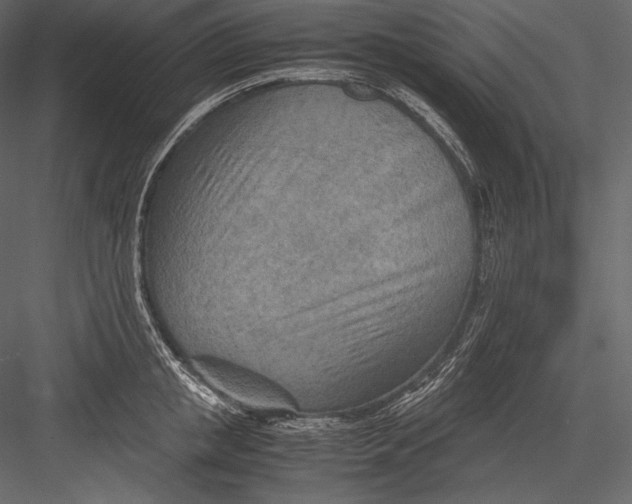 X0000082950853200702222311