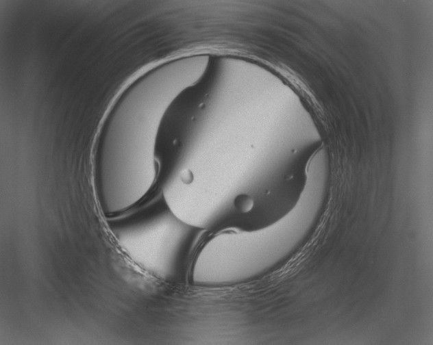 X0000082950854200702222311