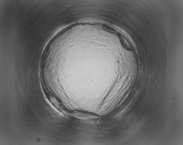 X0000082950855200702222311