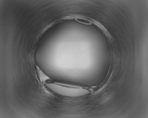 X0000082950857200702222311