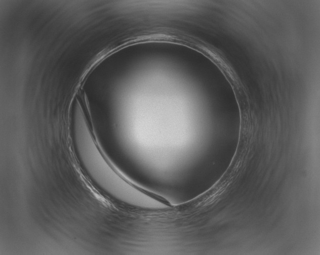 X0000082950858200702222311