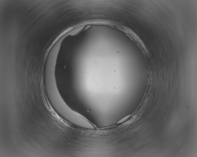 X0000082950860200702222311