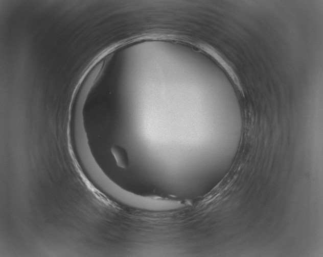 X0000082950861200702222311