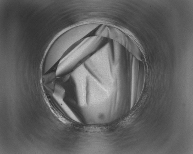 X0000082950862200702222311