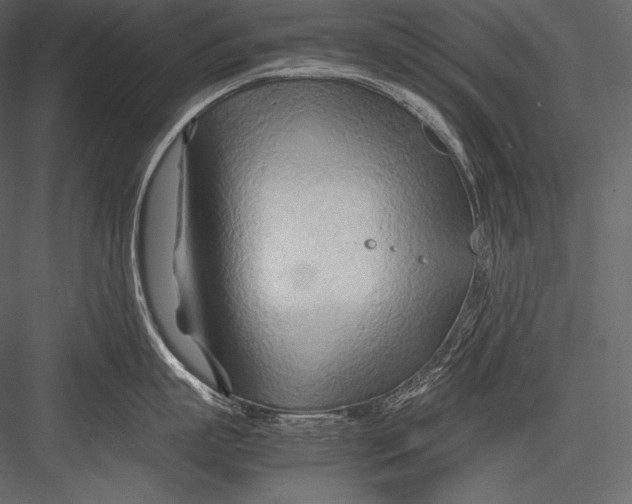 X0000082950863200702222311