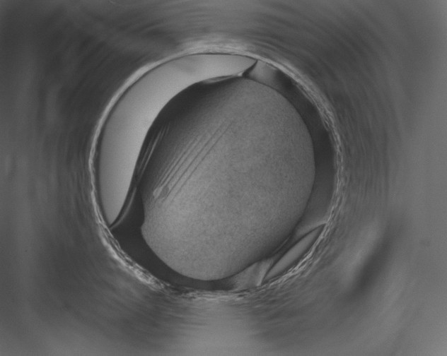 X0000082950864200702222311