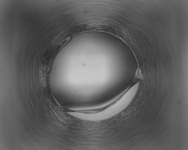 X0000082950868200702222310