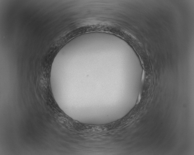 X0000082950869200702222310