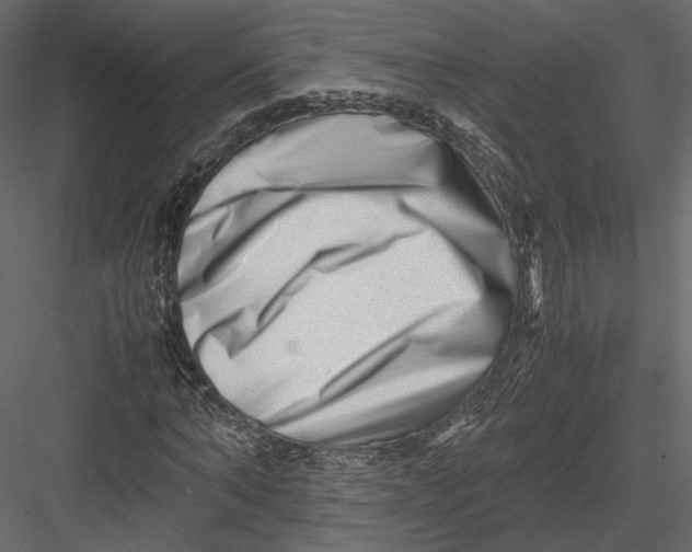 X0000082950870200702222310