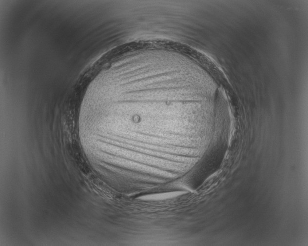 X0000082950871200702222310