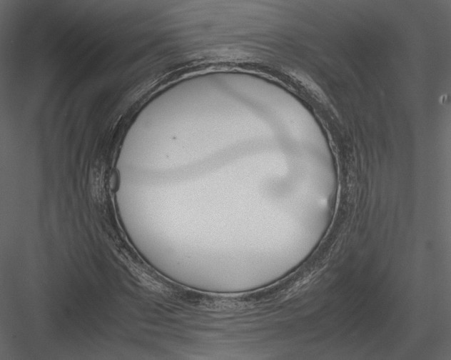 X0000082950873200702222310