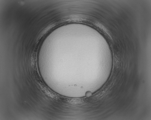 X0000082950874200702222310