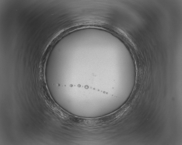 X0000082950875200702222310