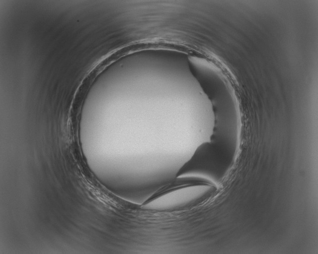 X0000082950876200702222310