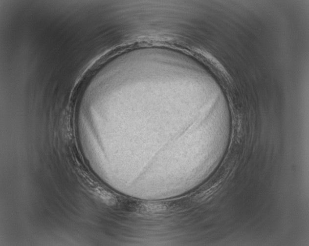 X0000082950878200702222310