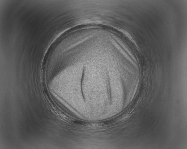 X0000082950879200702222310