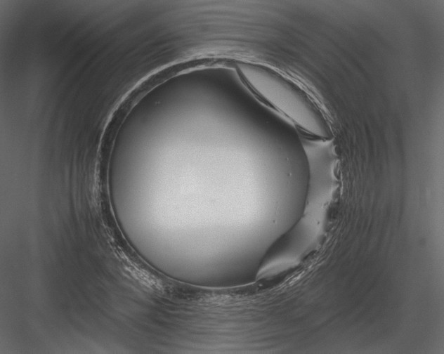 X0000082950880200702222310