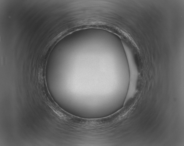 X0000082950881200702222310