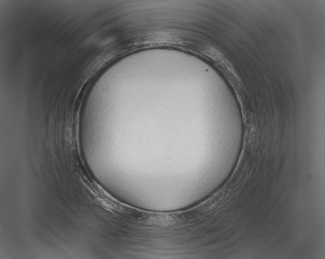 X0000082950882200702222310