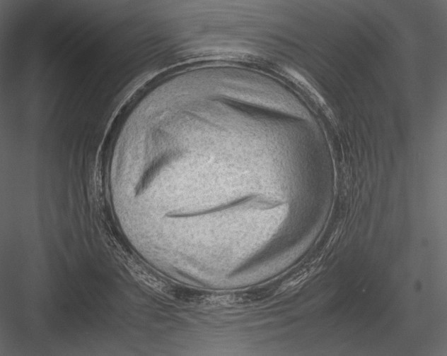 X0000082950883200702222310