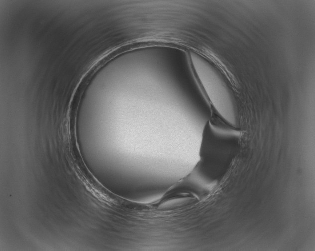 X0000082950884200702222310