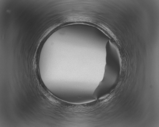 X0000082950885200702222310