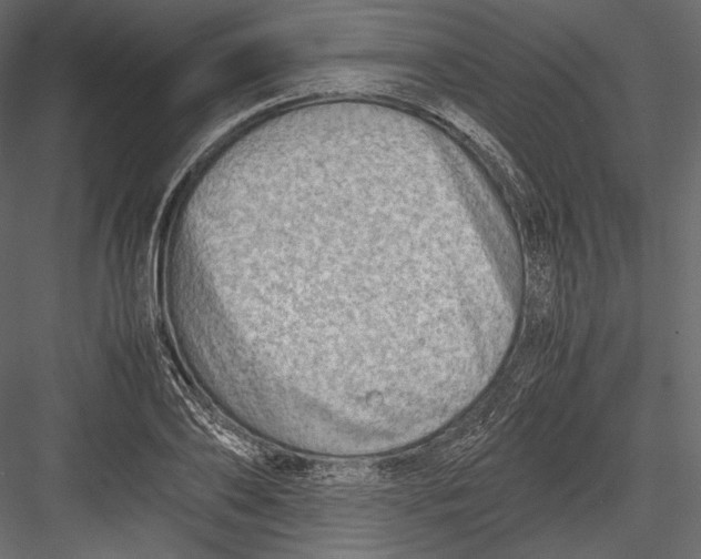 X0000082950886200702222310