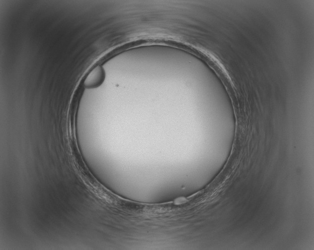 X0000082950887200702222310