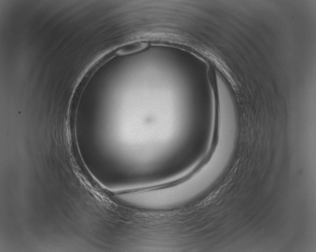 X0000082950888200702222310