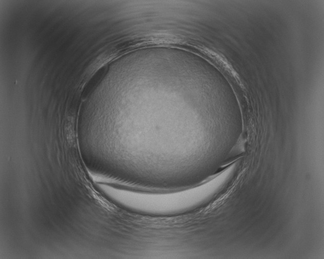 X0000082950889200702222310