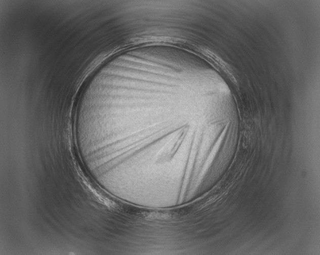 X0000082950890200702222310