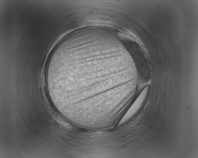 X0000082950891200702222310