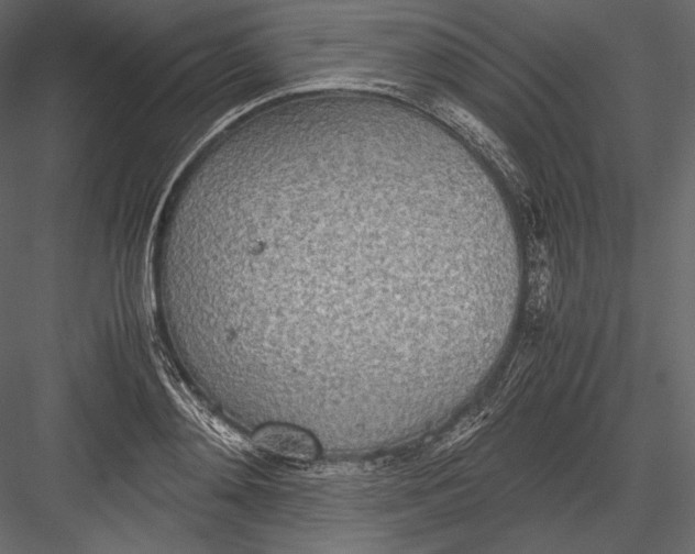 X0000082950892200702222310