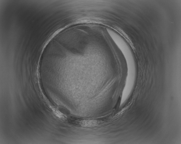 X0000082950893200702222310