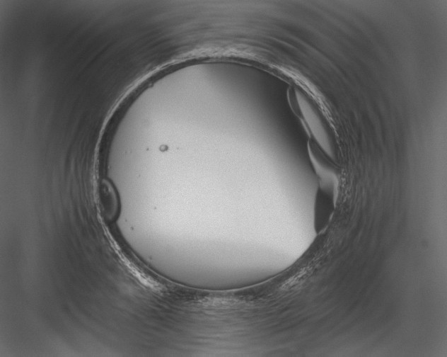 X0000082950894200702222310